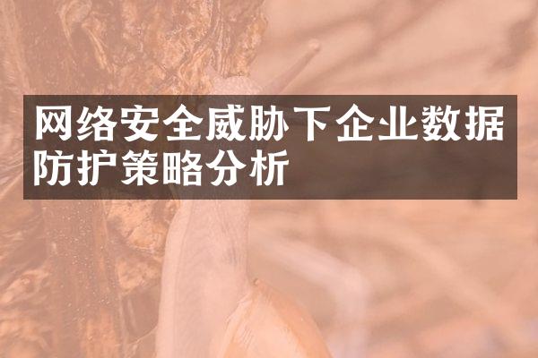 网络安全威胁下企业数据防护策略分析