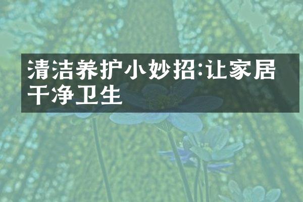 清洁养护小妙招:让家居更干净卫生
