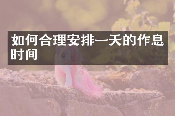 如何合理安排一天的作息时间