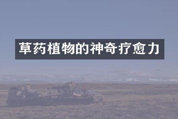 草药植物的神奇疗愈力