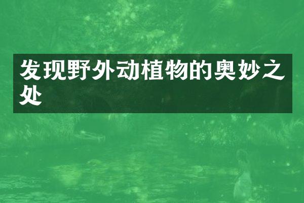 发现野外动植物的奥妙之处