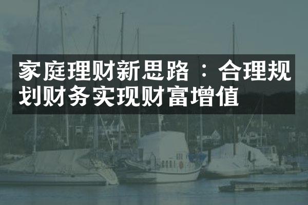 家庭理财新思路 : 合理规划财务实现财富增值