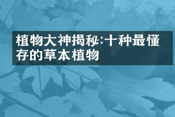 植物大神揭秘:十种最懂生存的草本植物