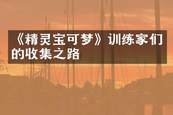 《精灵宝可梦》训练家们的收集之路