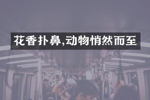 花香扑鼻,动物悄然而至