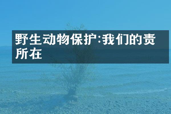 野生动物保护:我们的责任所在