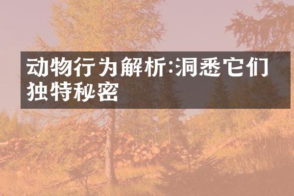 动物行为解析:洞悉它们的独特秘密