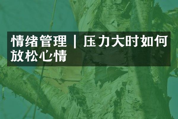 情绪管理 | 压力大时如何放松心情