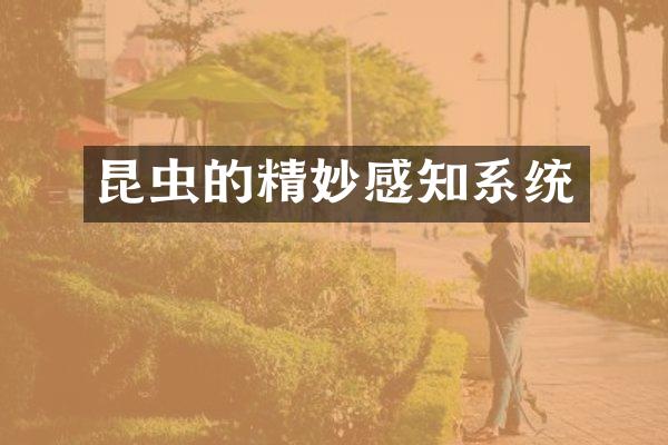 昆虫的精妙感知系统