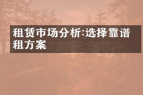 租赁市场分析:选择靠谱出租方案