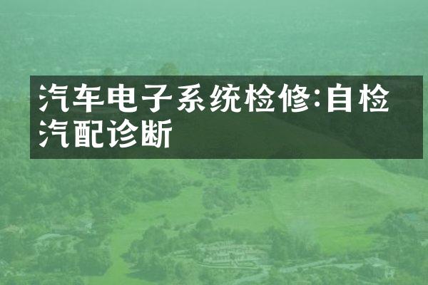 汽车电子系统检修:自检与汽配诊断