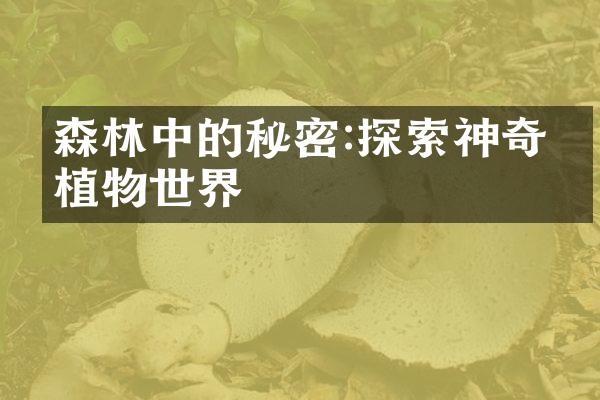 森林中的秘密:探索神奇的植物世界