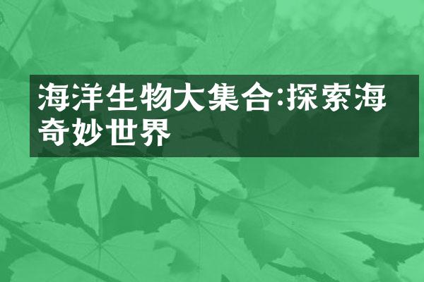 海洋生物大集合:探索海底奇妙世界