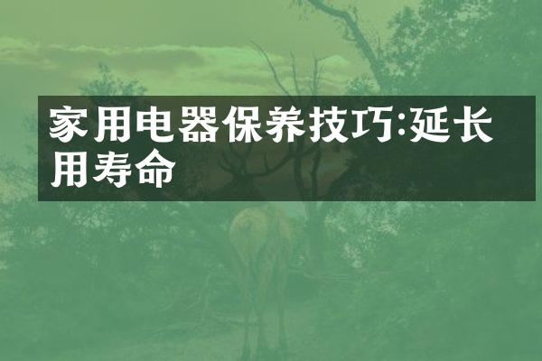 家用电器保养技巧:延长使用寿命