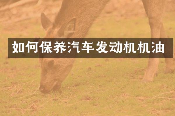 如何保养汽车发动机机油