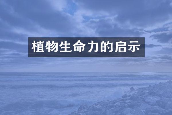 植物生命力的启示