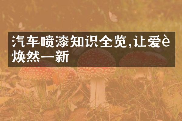 汽车喷漆知识全览,让爱车焕然一新