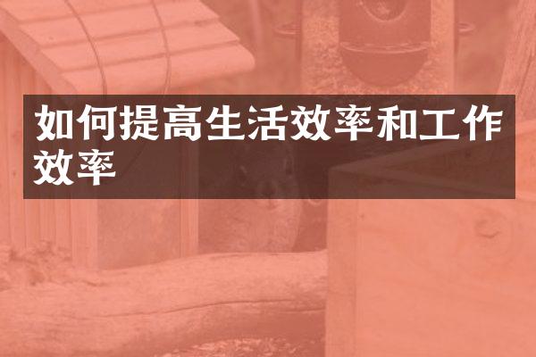 如何提高生活效率和工作效率