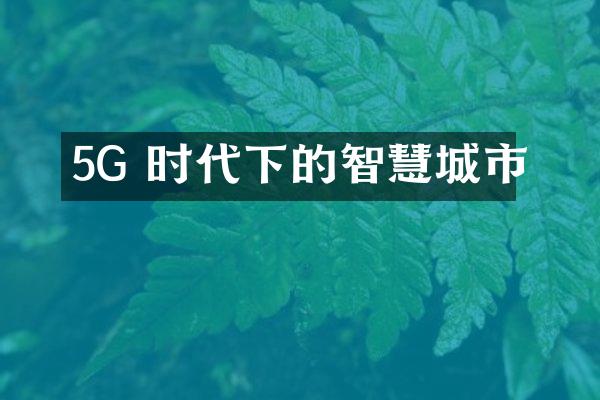 5G 时代下的智慧城市