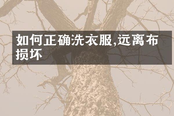 如何正确洗衣服,远离布料损坏