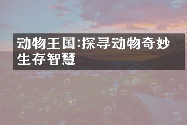 动物王国:探寻动物奇妙的生存智慧