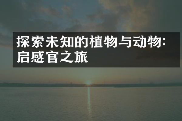 探索未知的植物与动物:开启感官之旅