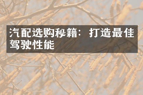 汽配选购秘籍：打造最佳驾驶性能
