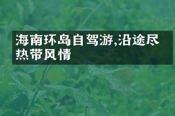 海南环岛自驾游,沿途尽享热带风情