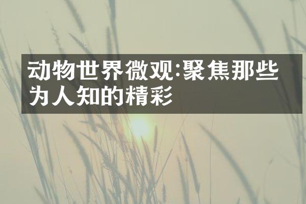 动物世界微观:聚焦那些不为人知的精彩