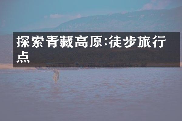 探索青藏高原:徒步旅行盘点