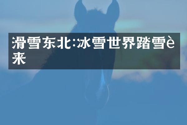 滑雪东北:冰雪世界踏雪而来
