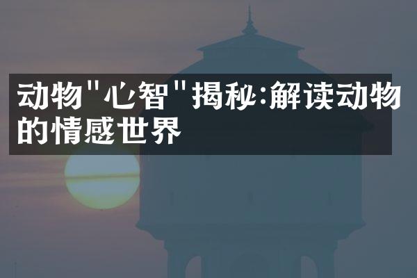 动物"心智"揭秘:解读动物的情感世界