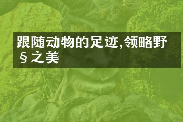 跟随动物的足迹,领略野性之美