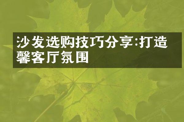 沙发选购技巧分享:打造温馨客厅氛围