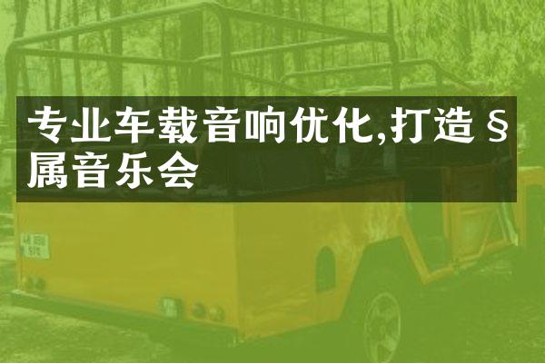 专业车载音响优化,打造私属音乐会