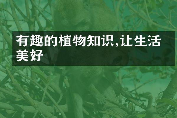 有趣的植物知识,让生活更美好