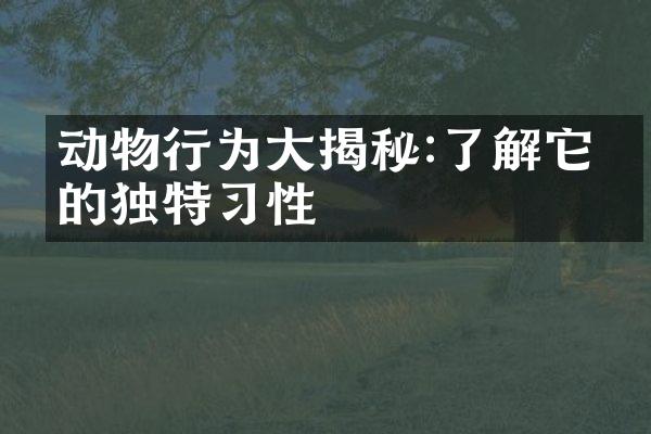 动物行为大揭秘:了解它们的独特习性