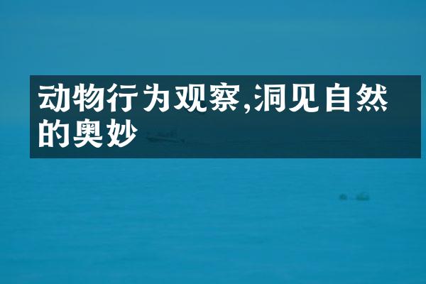 动物行为观察,洞见自然界的奥妙