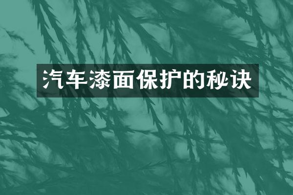 汽车漆面保护的秘诀