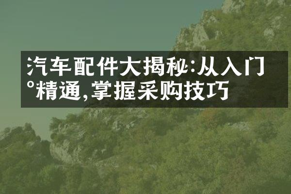 汽车配件大揭秘:从入门到精通,掌握采购技巧