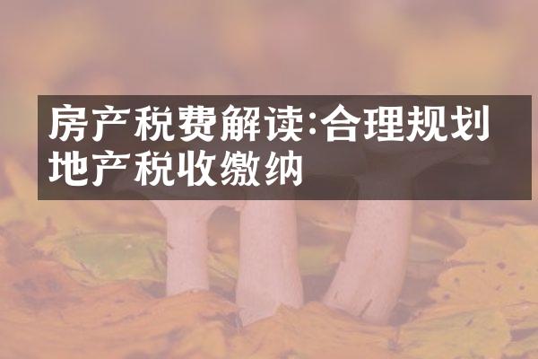 房产税费解读:合理规划房地产税收缴纳