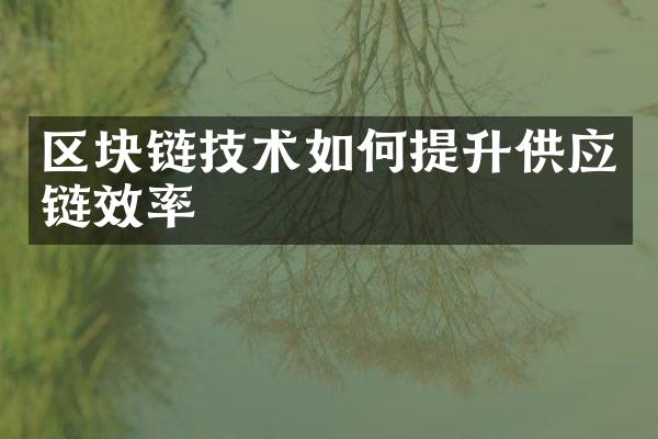 区块链技术如何提升供应链效率