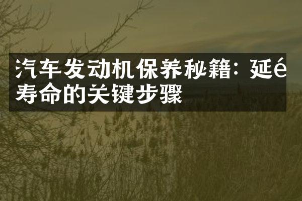 汽车发动机保养秘籍: 延长寿命的关键步骤