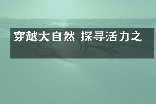 穿越大自然 探寻活力之旅
