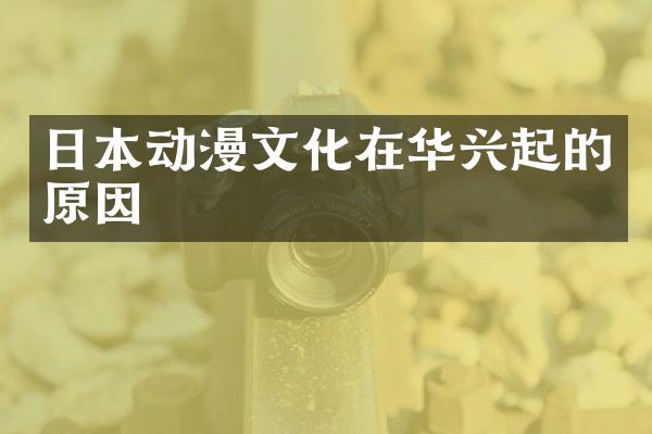 日本动漫文化在华兴起的原因