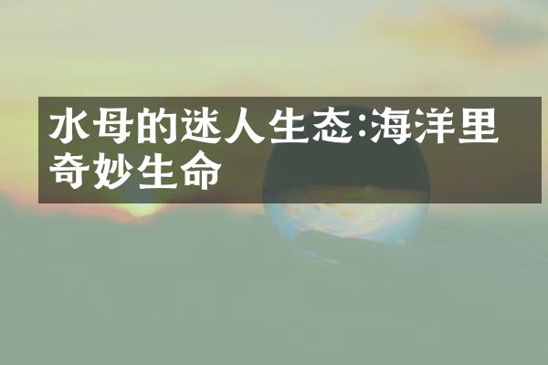 水母的迷人生态:海洋里的奇妙生命