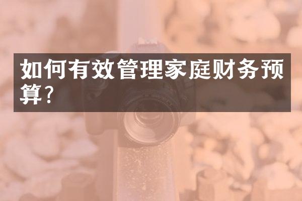 如何有效管理家庭财务预算?