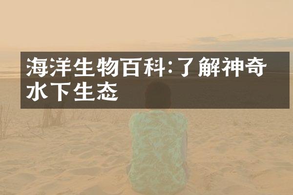 海洋生物百科:了解神奇的水下生态