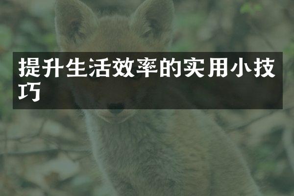 提升生活效率的实用小技巧