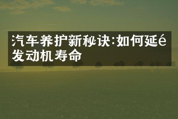 汽车养护新秘诀:如何延长发动机寿命